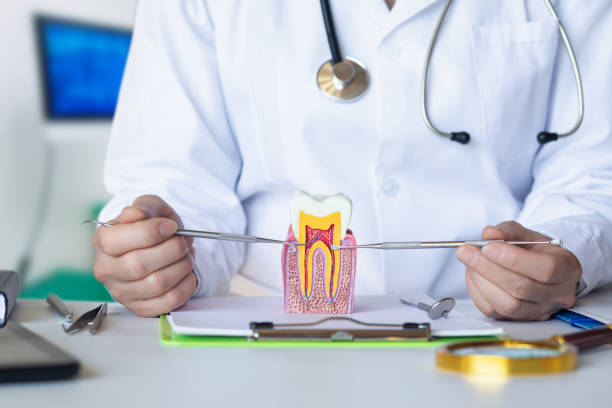 Best Urgent Dental Care for Toothache in Cutlerville, MI